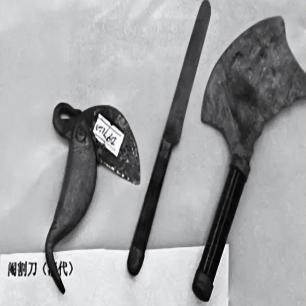 二战女德军士兵照片,老照片二战后悲惨的法国女性