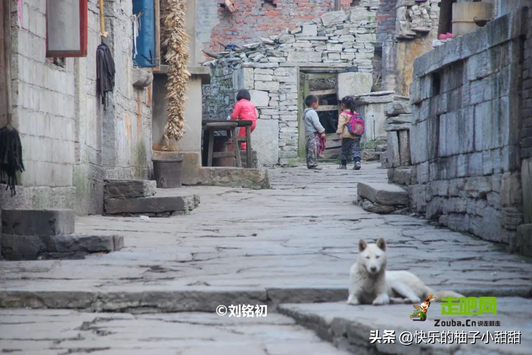 贵州避暑天堂推荐,贵州小众冷门避暑地