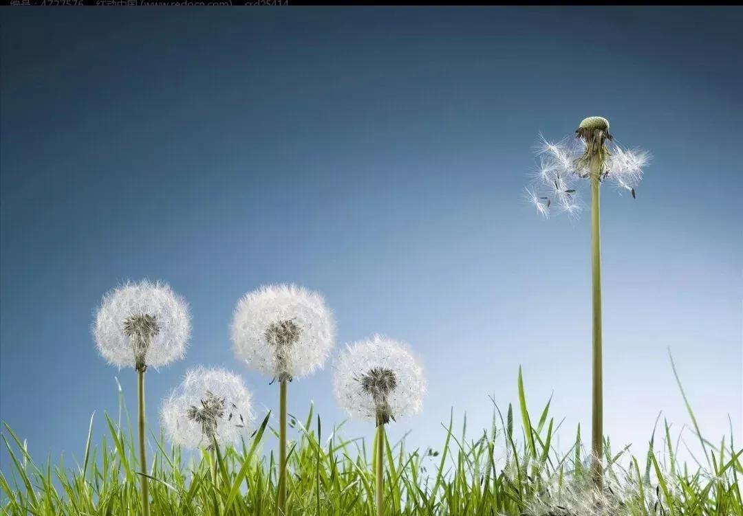 浅谈股市交易技巧,浅谈股市的三个阶段