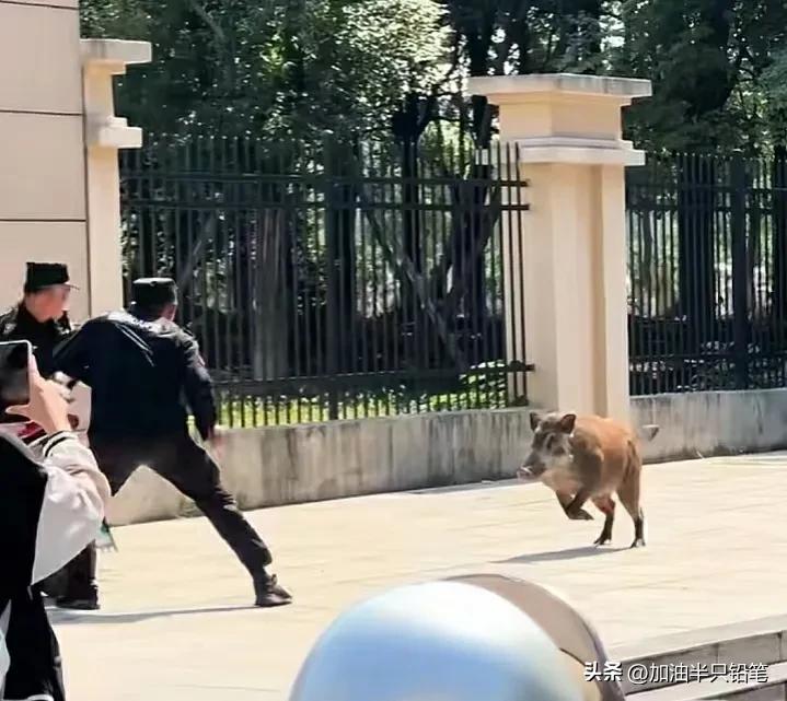 小区保安保证业主安全,小区保安有义务保护业主安全吗