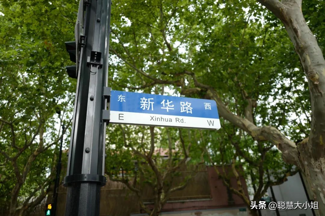 去这条充满松弛感的“小马路”，慵懒地溜达一天才是正经事