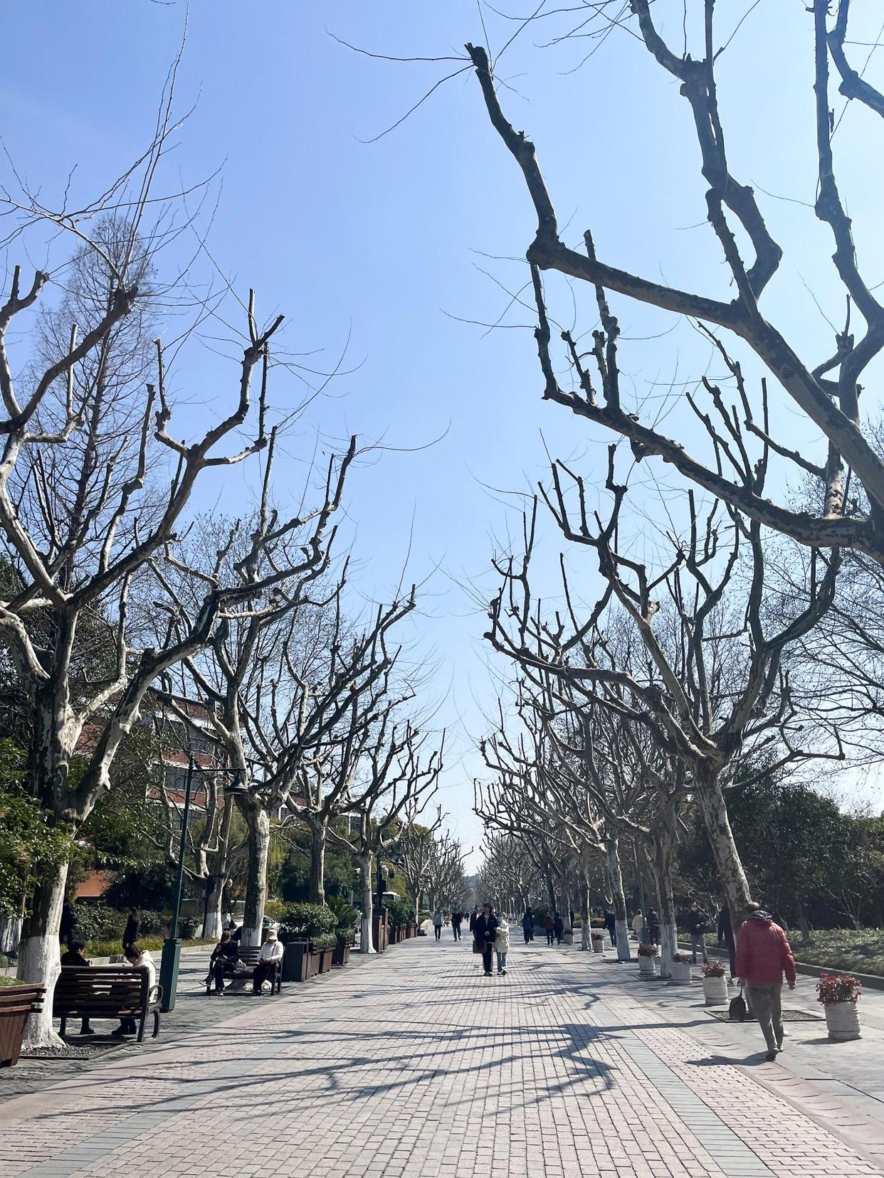 杭州旅游必去的十大景点排行榜,杭州萧山机场附近的旅游景点