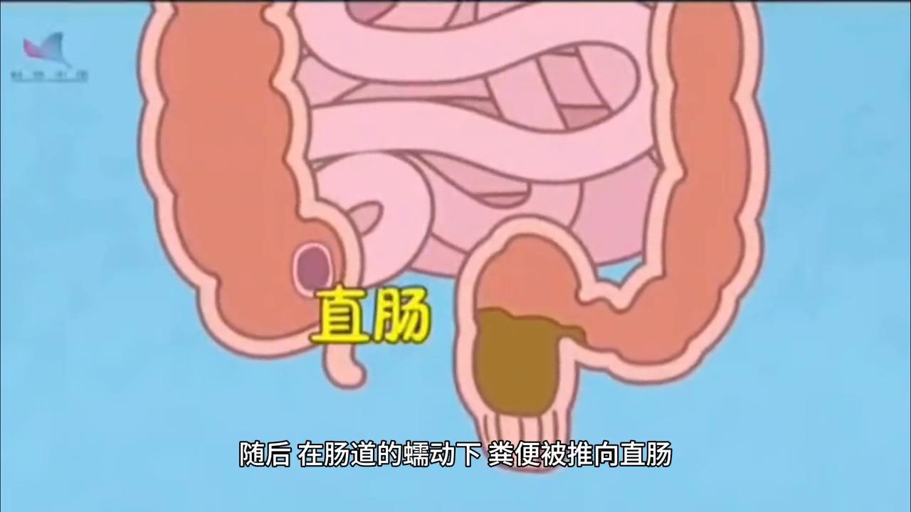 腹泻的时候为什么屁股要痛,腹泻屁股疼是什么原因