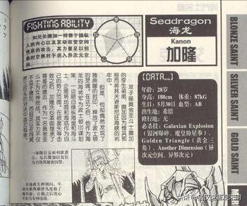 万字深度解读,万字全面解析