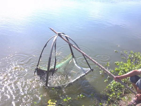 邵武美食活跳虾,邵武活跳虾