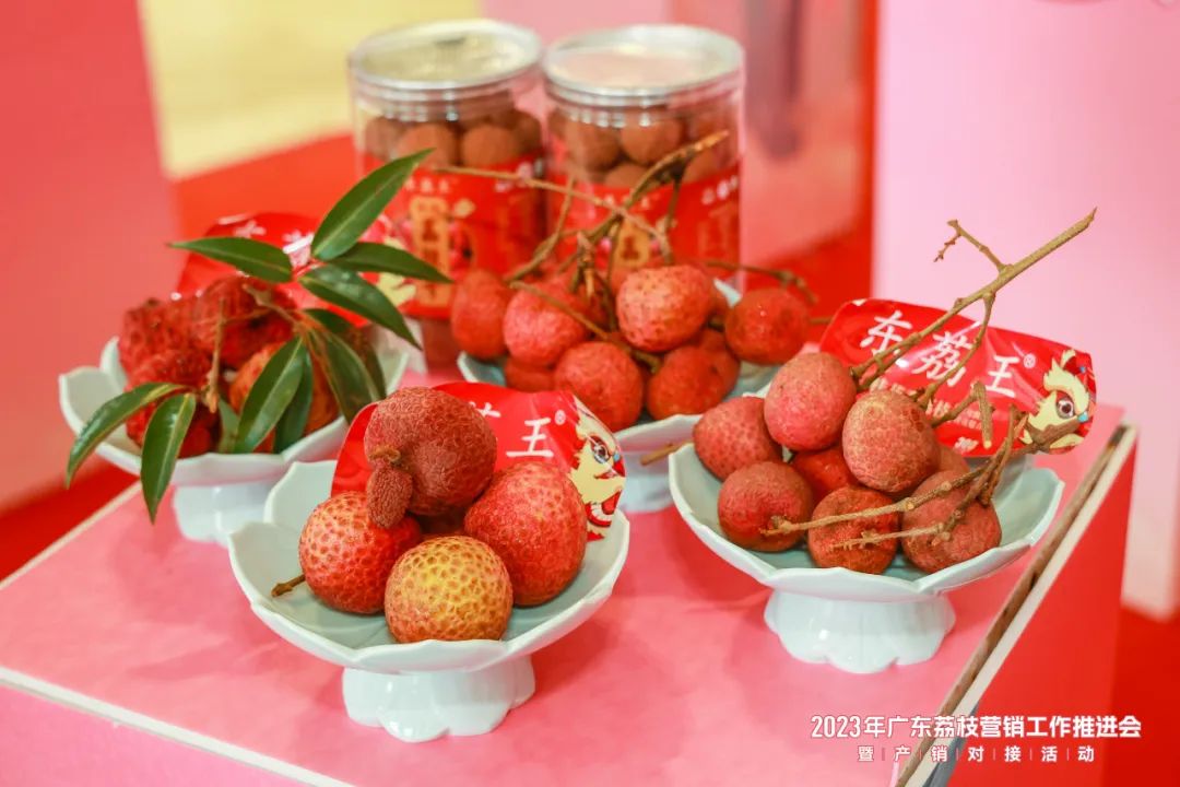 喊全球吃广东荔枝！2023年广东荔枝营销工作推进会暨产销对接活动在广州增城举办