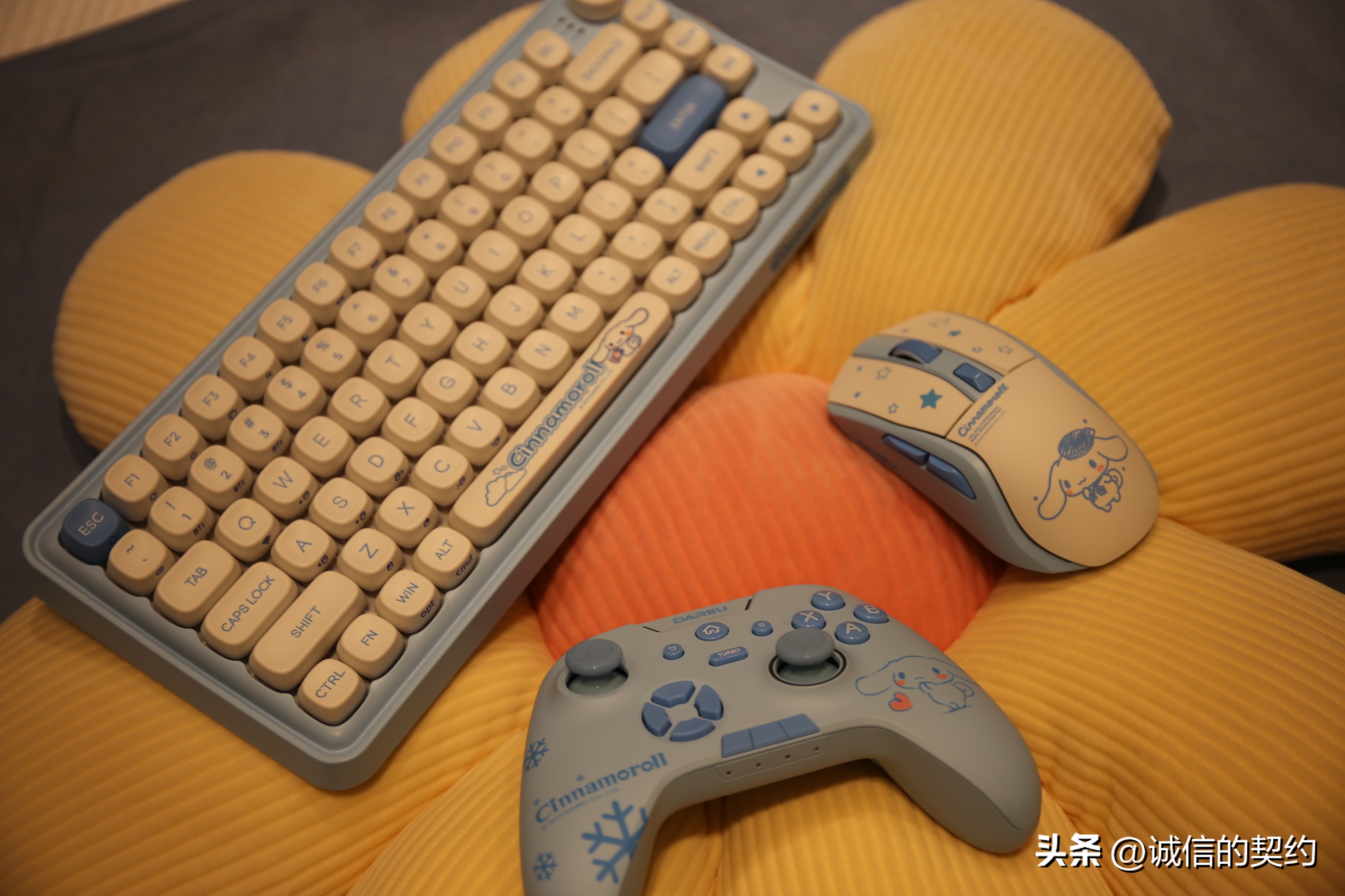 达尔优玉桂狗怎么样,达尔优玉桂狗键盘灯光怎么调节