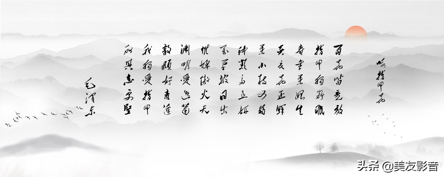 专题：毛*东泽**诗词赏析「一」