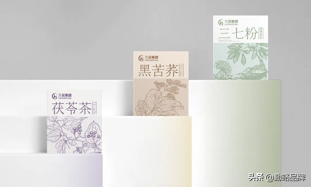 兰花中药图片大全,兰花中药图片