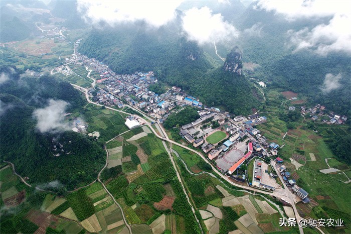 广西融安绘就美丽乡村画卷感想,融安泗顶田园航拍