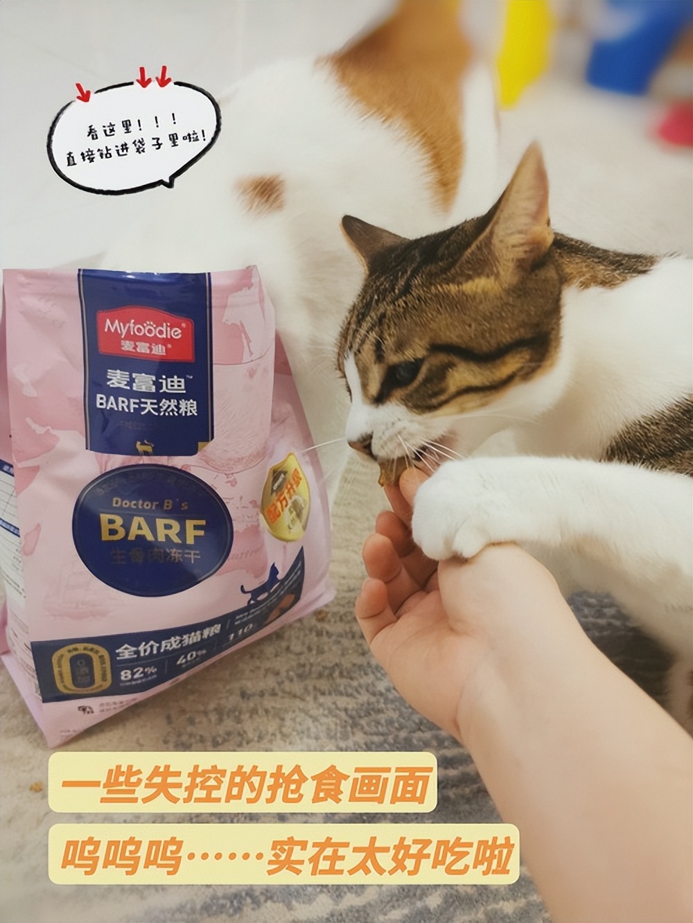 猫咪为什么突然疯了一样的咬东西,猫咪总咬东西是什么原因
