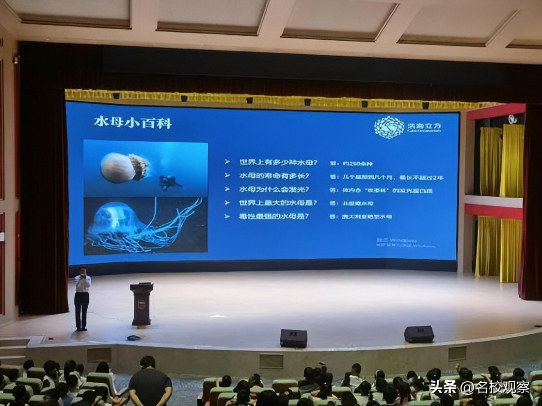 蔚蓝做苍穹，鱼儿变繁星！新川学子，走进浩海立方，探秘无限海洋