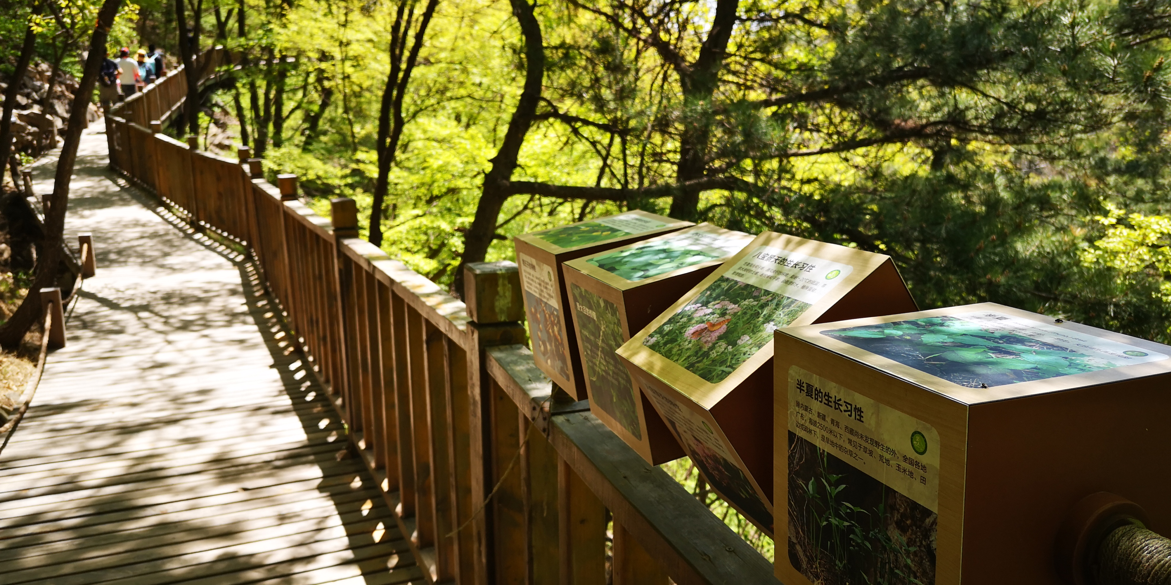 天津梨木台景区值得夏天去的地方,天津蓟县梨木台风景区路线