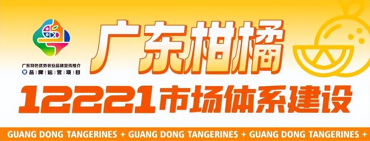 四会正宗沙糖桔是纯甜的吗,四会沙糖桔有没有籽