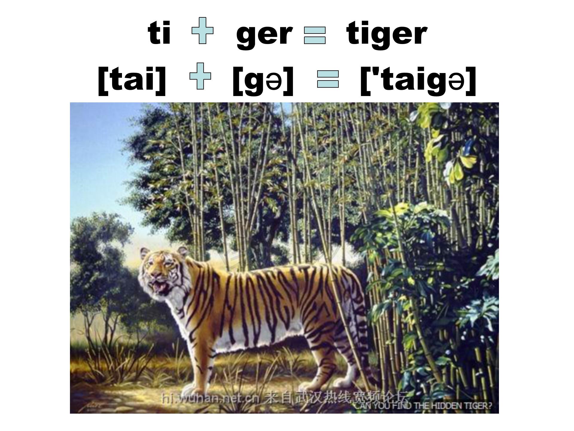 如何快速默写48个国际音标,音标背诵最快的方法