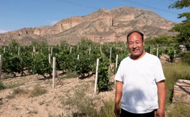 10年前，赵薇用3640万买下法国一个酒庄，每年卖出5万多瓶