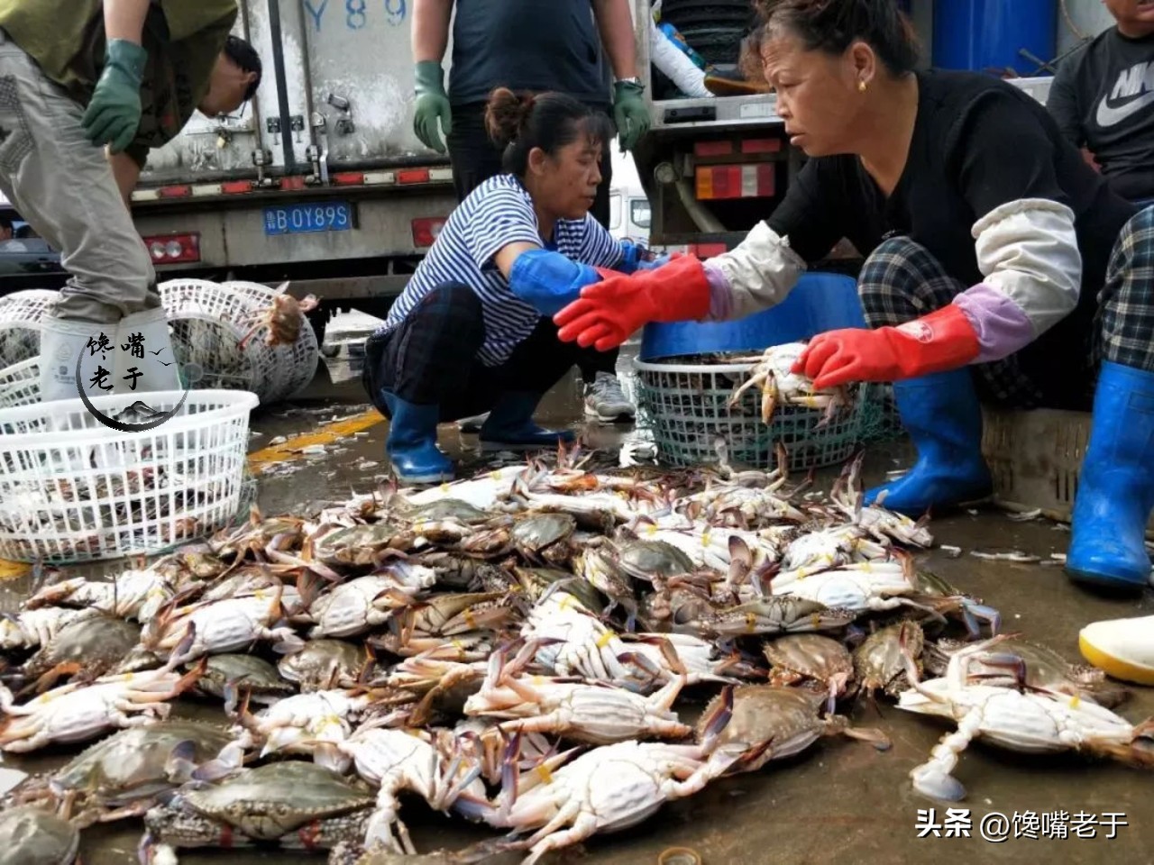 在青岛吃海鲜怎么吃比较划算,外地来青岛吃海鲜去哪里