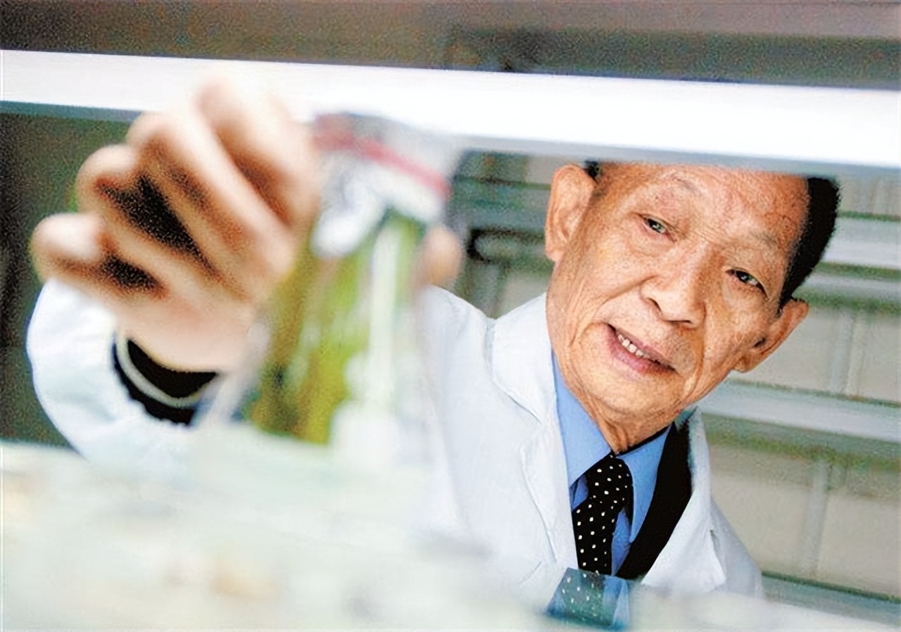 袁隆平让我心生敬意,袁隆平我敬佩的人征文