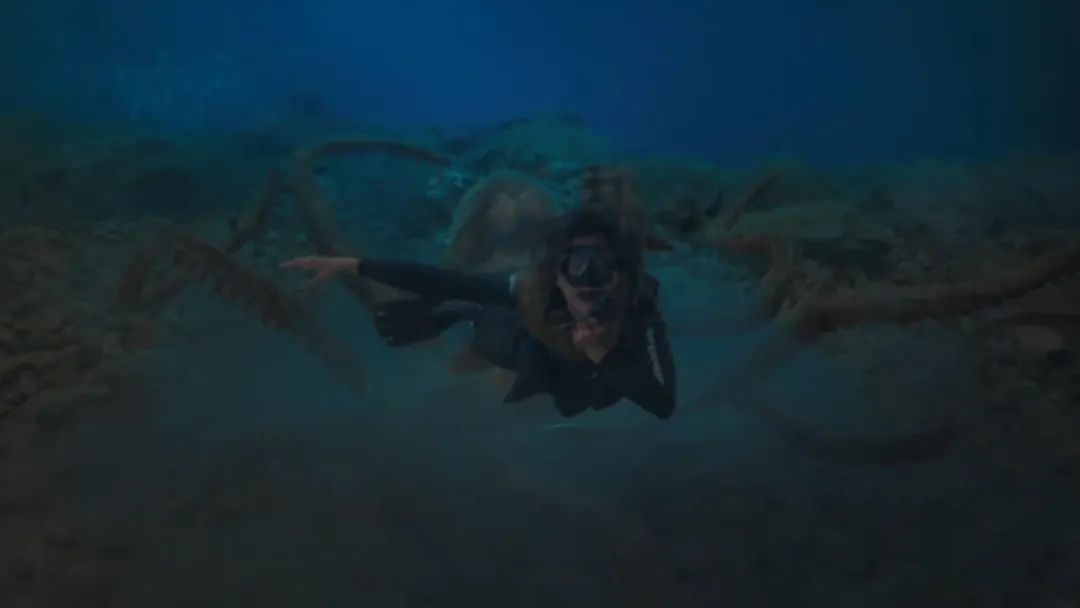 4集就下线8人，演员大换血，刚播就上17个热搜，《法证5》真爆了