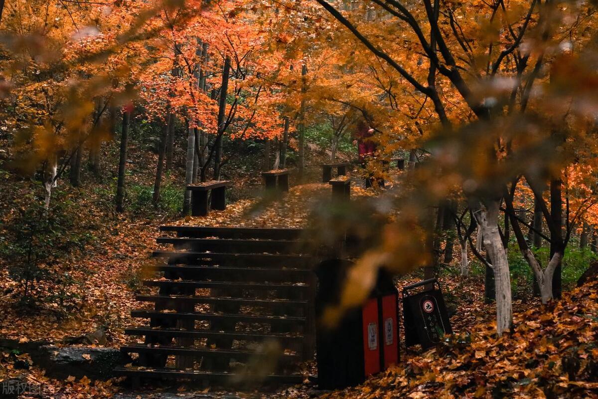 描写下雨和思念的古诗,描写下雨天的景色的古诗