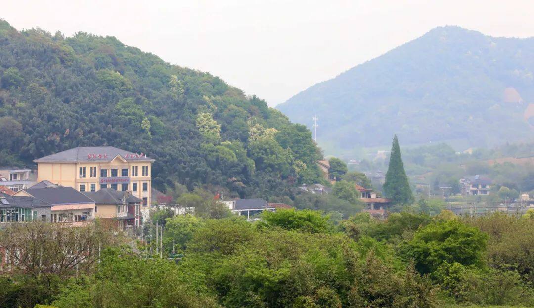 离杭州比较近的浙江城市,离杭州很近的市区