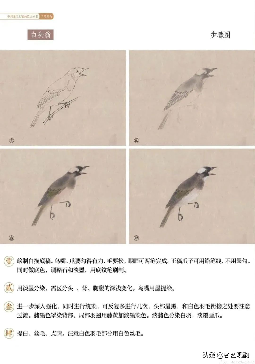 国画禽鸟写意教学视频,工笔禽鸟圆扇图片大全