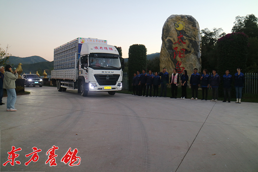 云南太阳鸟赛鸽公棚,云南太阳鸟赛鸽公棚冠军奖金