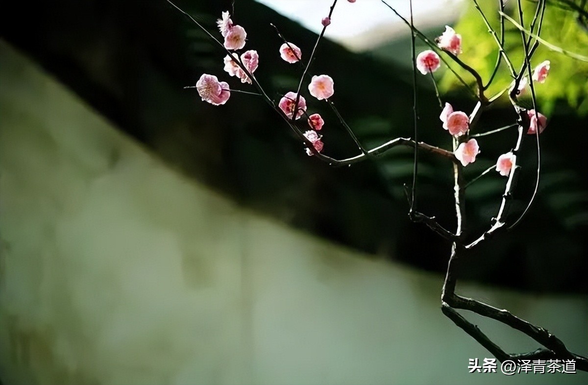 写春天的著名唐诗宋词加赏析,十首描写春天的宋词