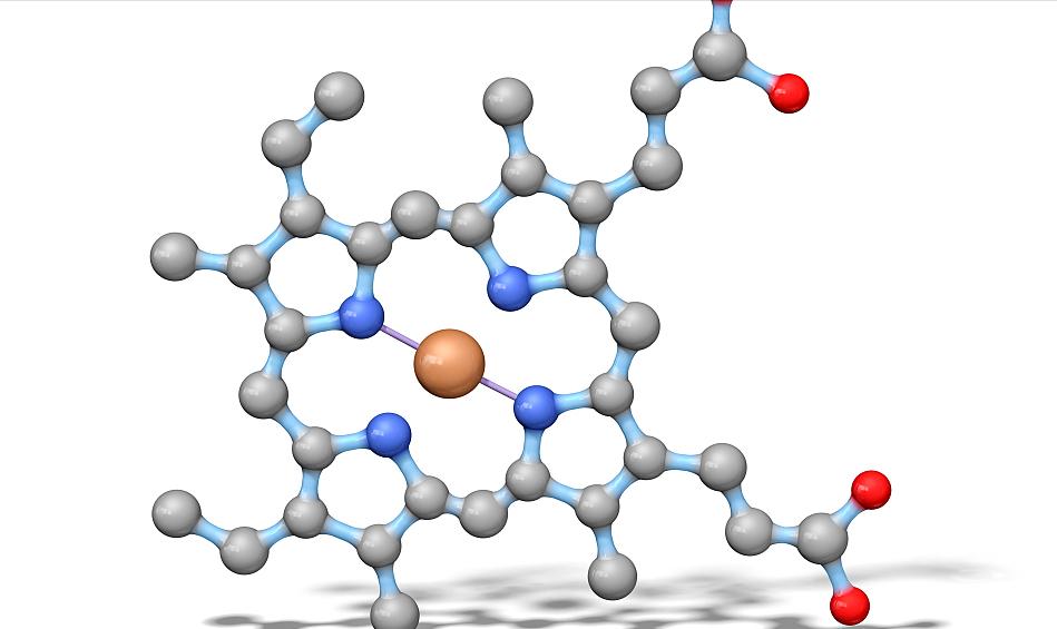 胆红素偏高怎么降,胆红素过高怎么降低