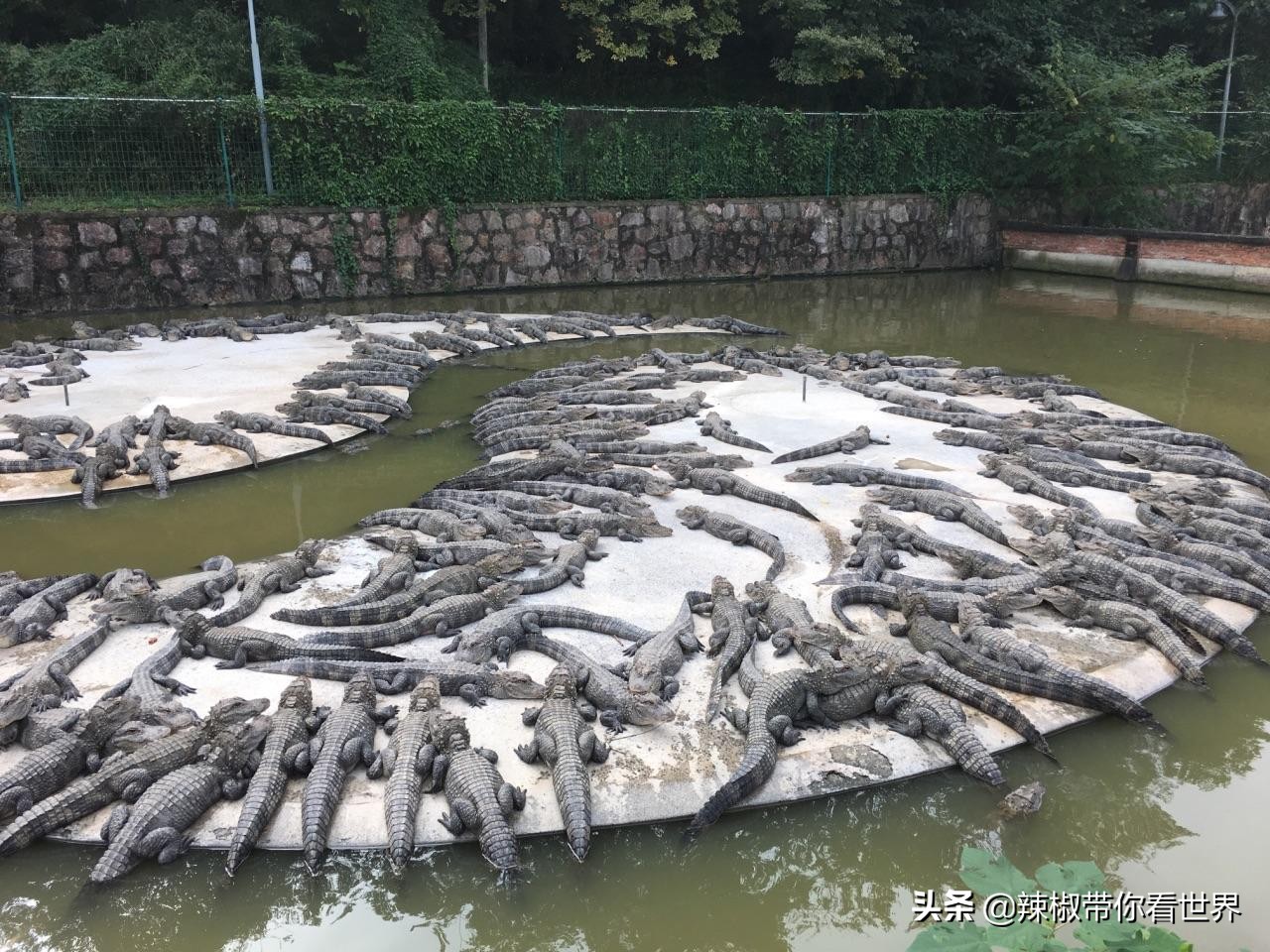 北纬三十度：中国文房四宝之乡的宣城——宣城自古诗人地