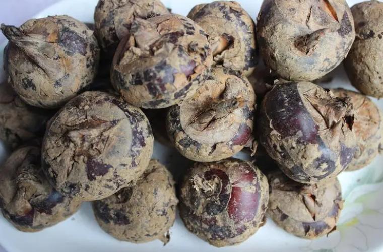 四种蔬菜水果含寄生虫,寄生虫特别多的三种水果