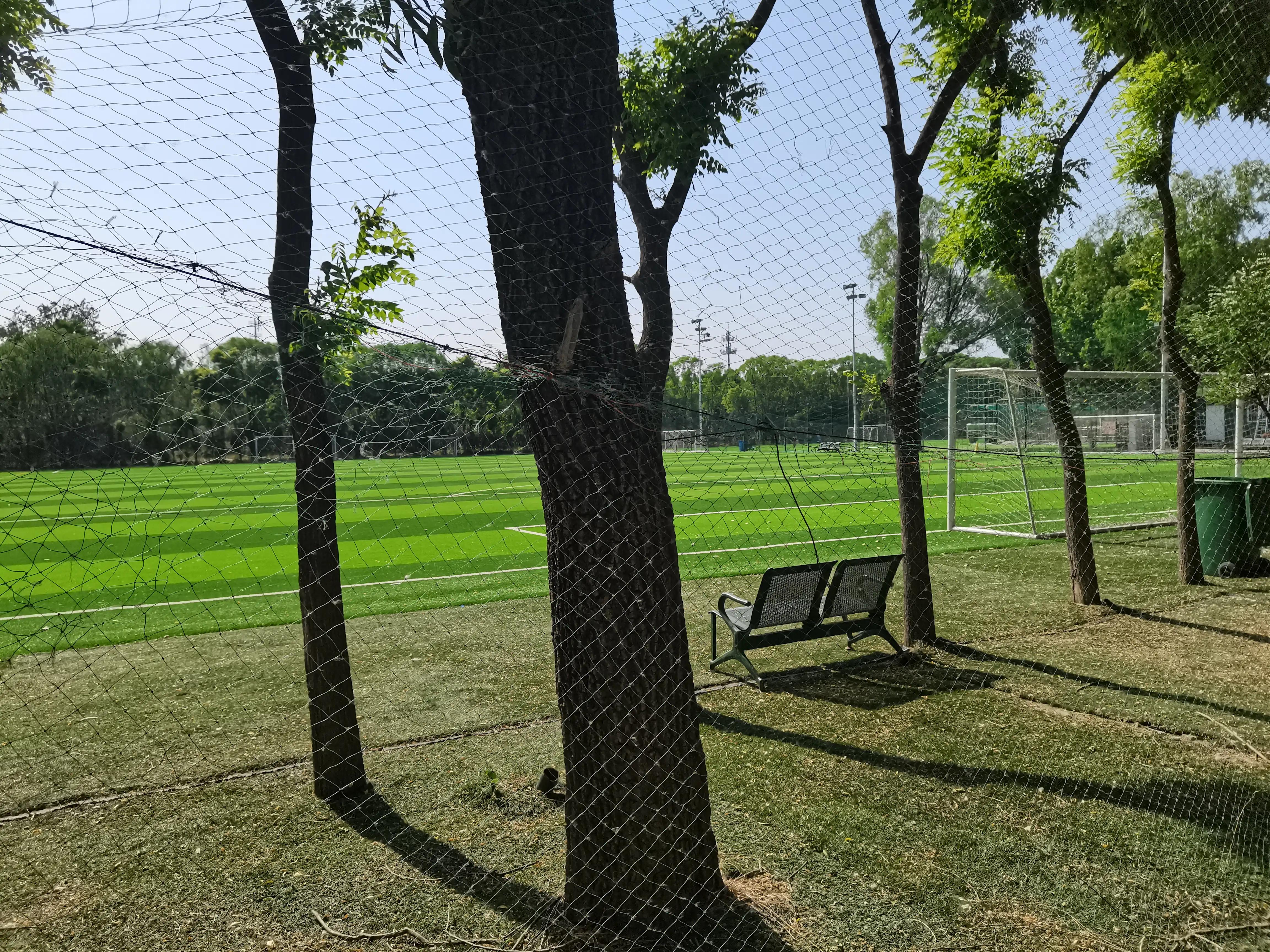 老君山紫藤花长廊拍照攻略,去长春公园看郁金香攻略