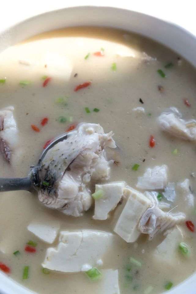 永泰青梅花开全部视频,永泰青梅丰收季节