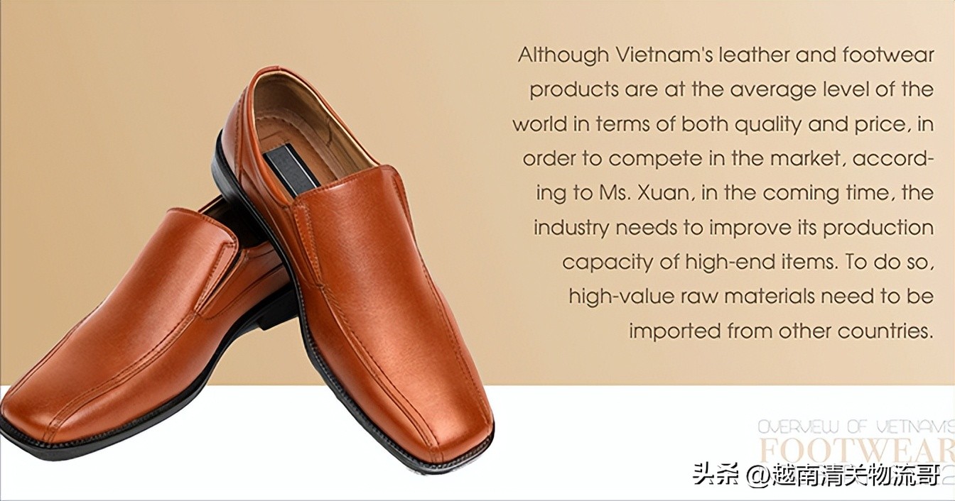 2022年越南制鞋业概述