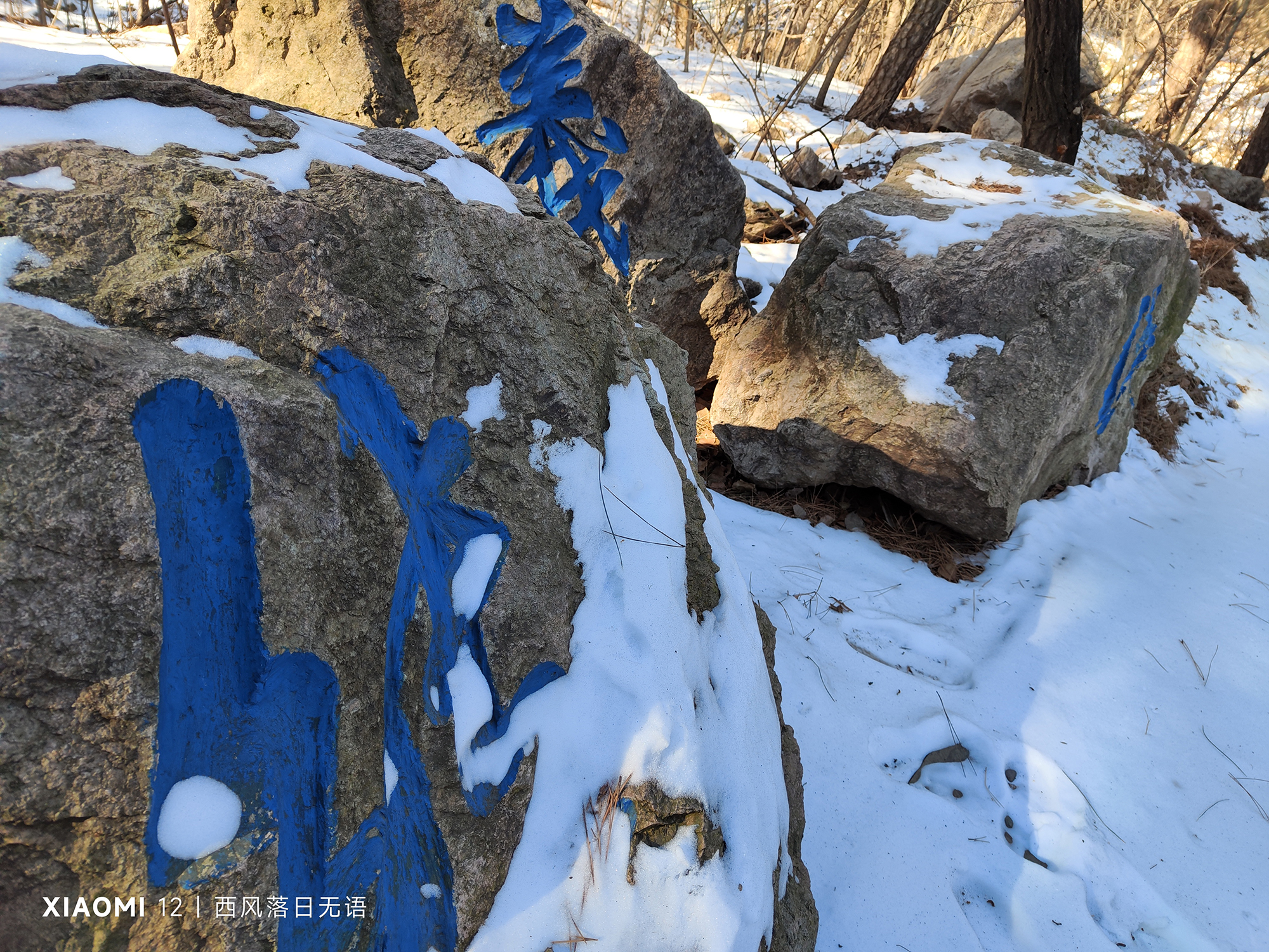 小米12哪个系列值得上手,小米12哪一款更值得入手