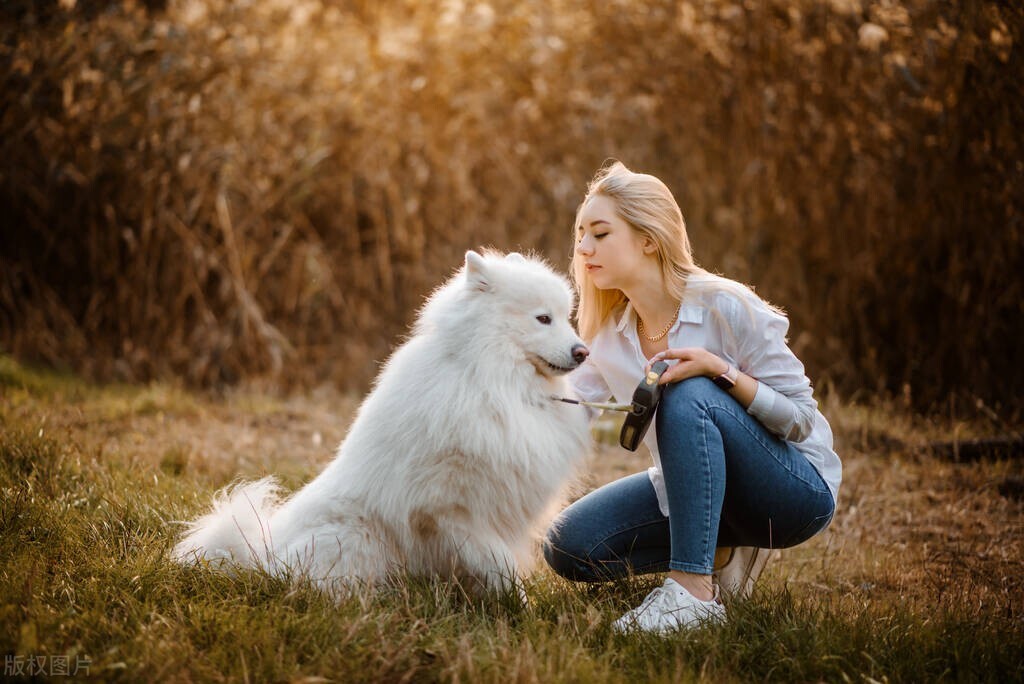 湿疹的人可以养猫吗,湿疹患者可以养鸟吗
