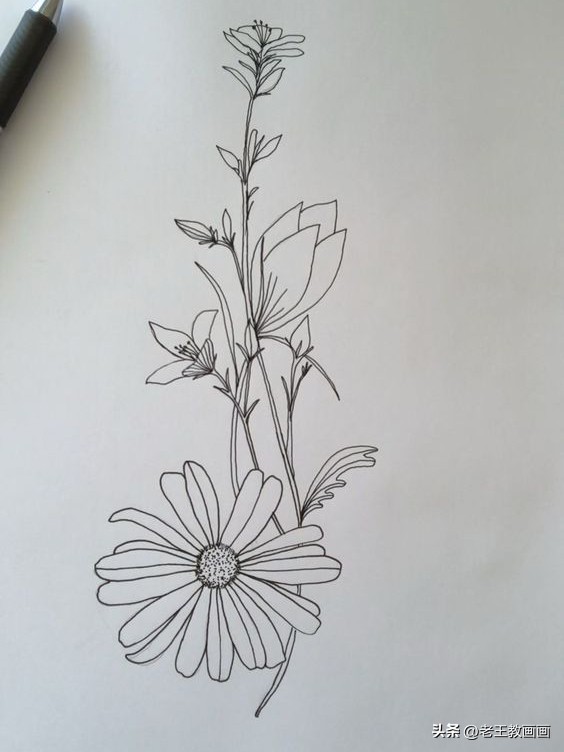 学画工笔花卉郁金香简笔画,手把手教你简笔画手绘线描花卉