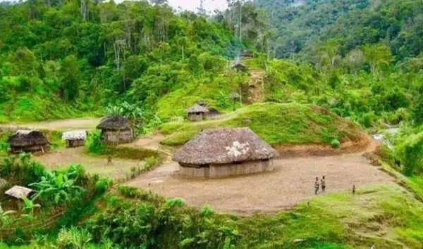 巴西热带雨林原始部落,巴西的奇葩习俗