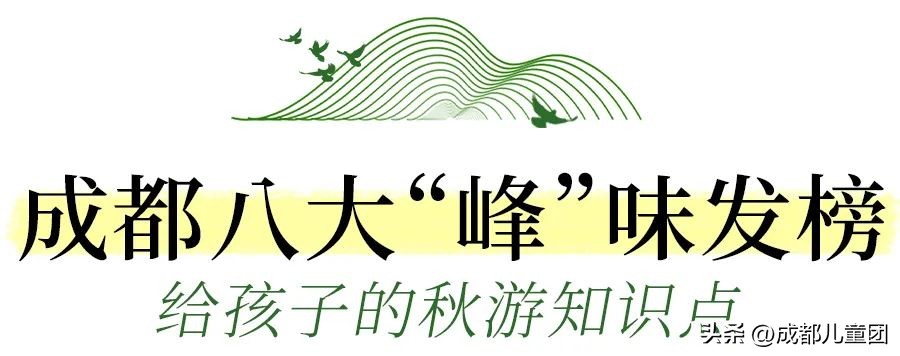 成都适合带小朋友登山的地方,成都适合带孩子去爬的山