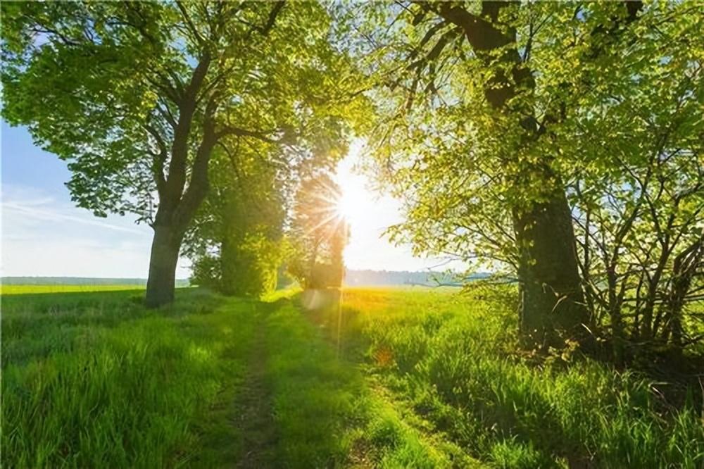 10年前创业赚300万买房,10年前创业卖掉了房子