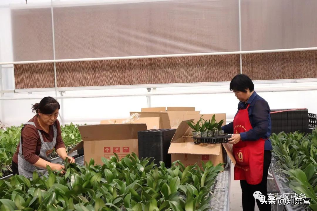 走在前开新局日照,走在前开新局出处