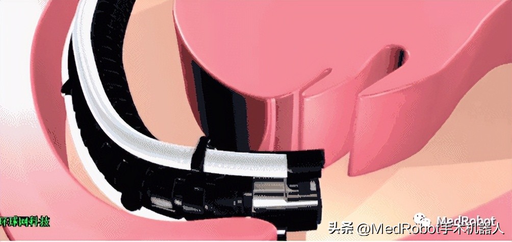 100种仿生机器人,最新全自动机器人