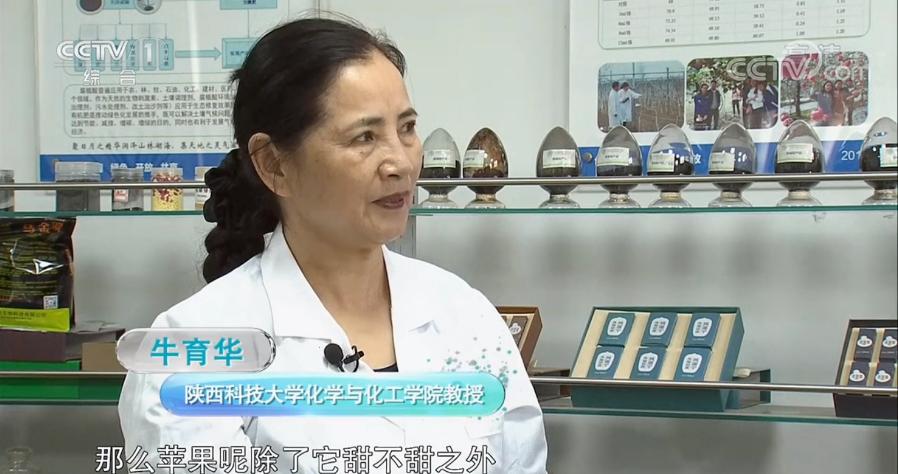 央视专家说面膜,专访中国科学家视频