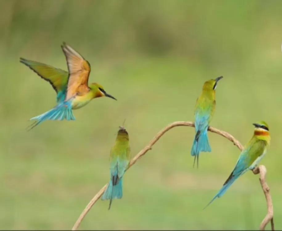 贵州女孩学医,贵阳女孩子学医