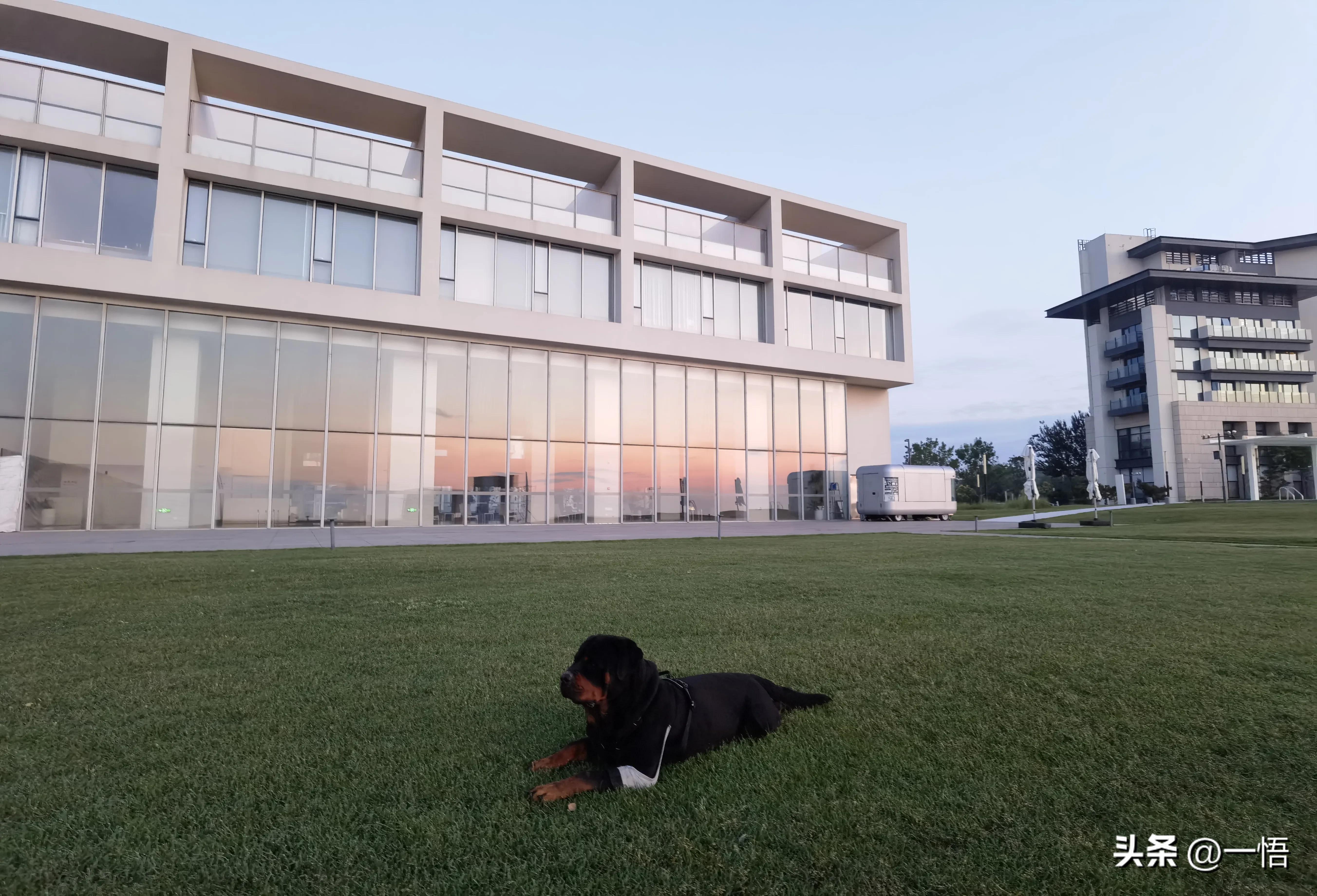 2023上海到秦皇岛承德十日游第四天：看阿那亚的海，逢犬舍的安娜