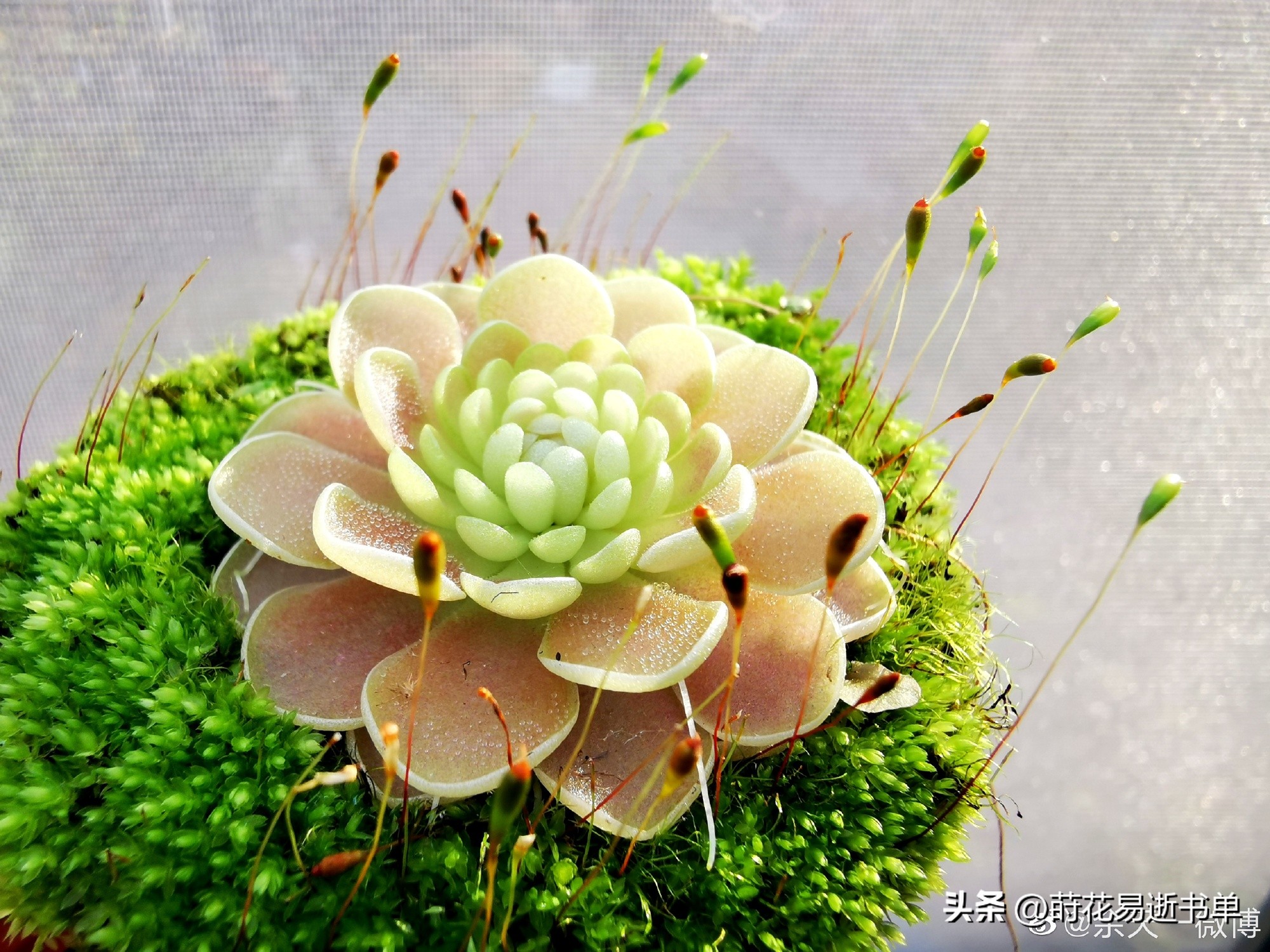 5.1微信推文,5.20推文