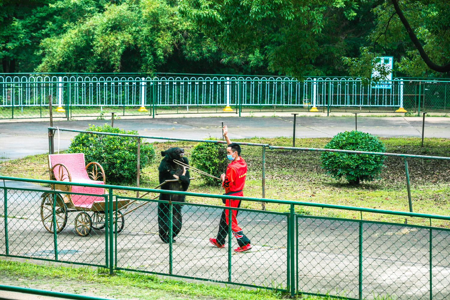 武汉哪个动物园比较适合小朋友玩,武汉值得带孩子去的动物园