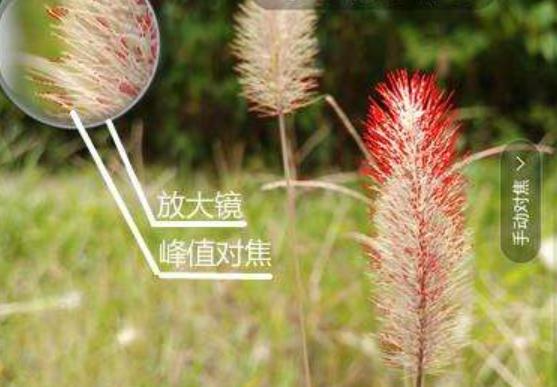 拍人像如何快速对焦,对焦快速模式