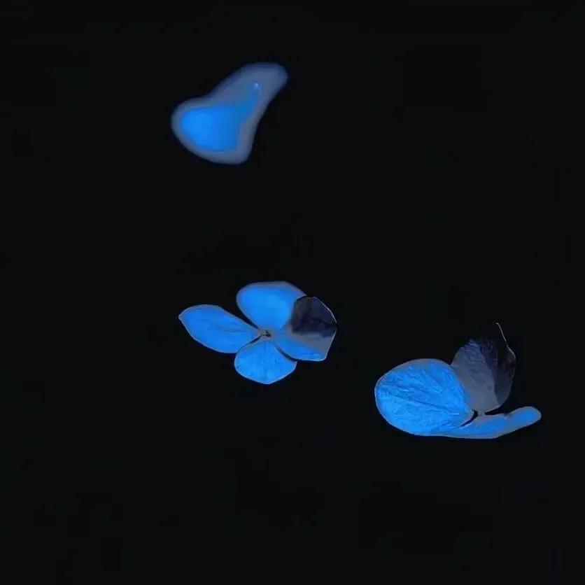 小众背景图朋友圈,干净小众背景图纯色