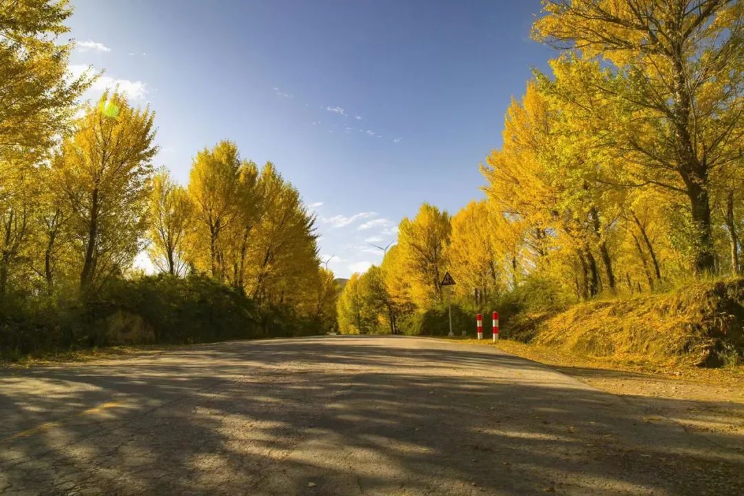 深秋等你到来,深秋等你来